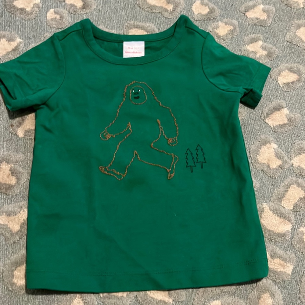 Hanna Andersson 2t yeti Bigfoot tshirt green embroidered